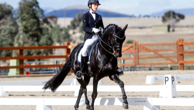 2025 Tamworth Dressage Club Championships thumbnail